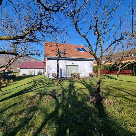 Le Gite De Cleo, Maison Spacieuse Et Paisible. Metzeral Luaran gambar